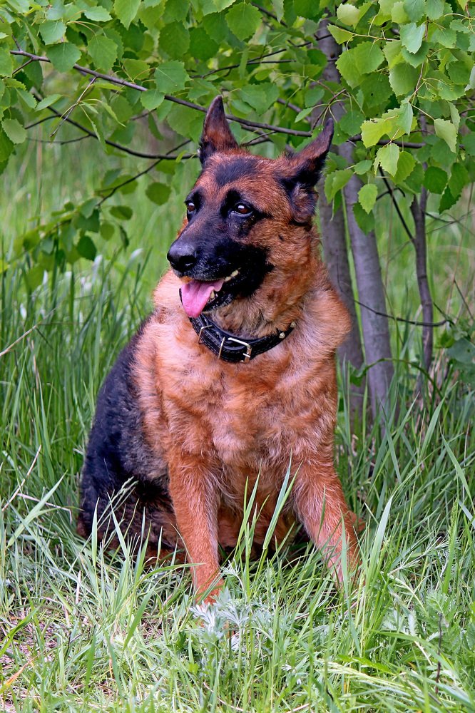 Photograph by Александр Бугаенко