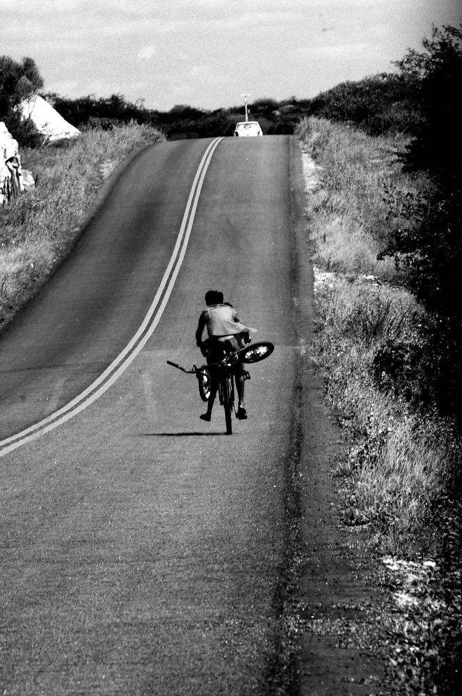 Photograph by João Maria Alves