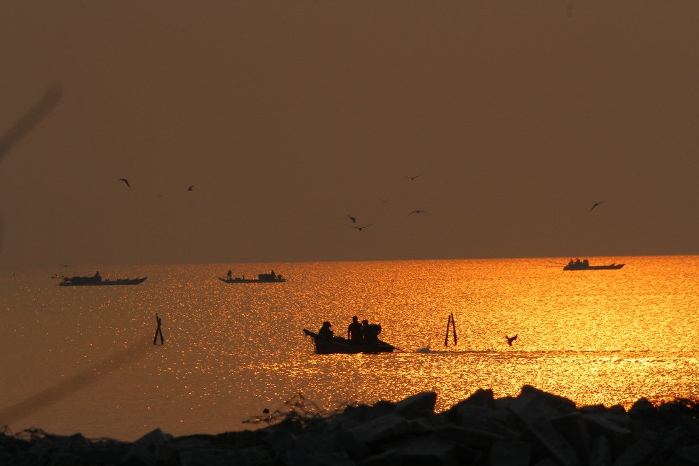 Bắt nghêu trên biển hoàng hôn