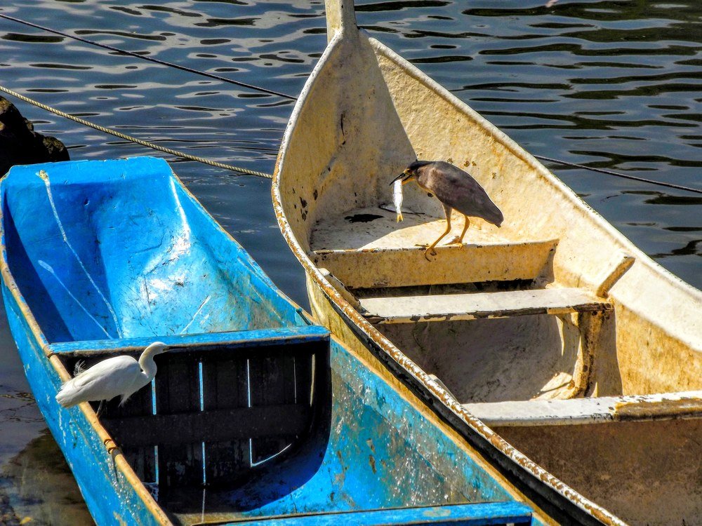 Photograph by Rita Aparecida Daher