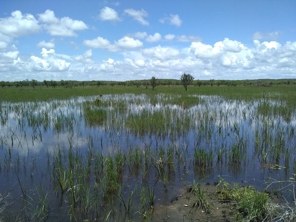 Photo #4983978