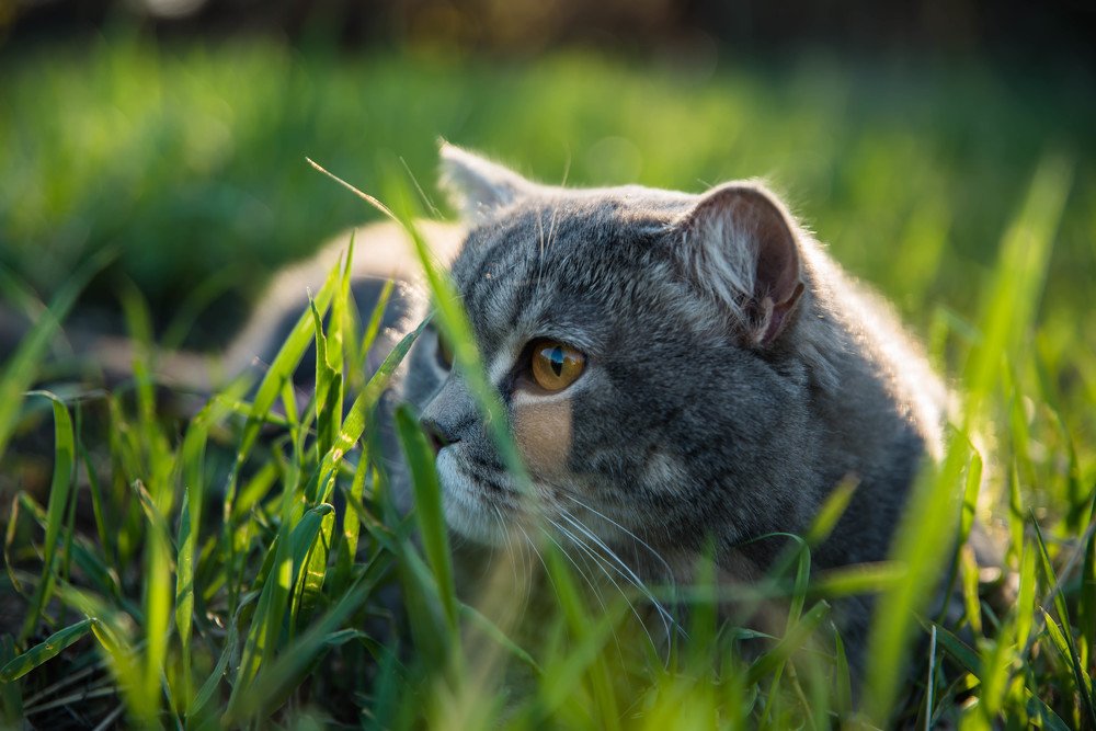 Photograph by Елена Прохорова