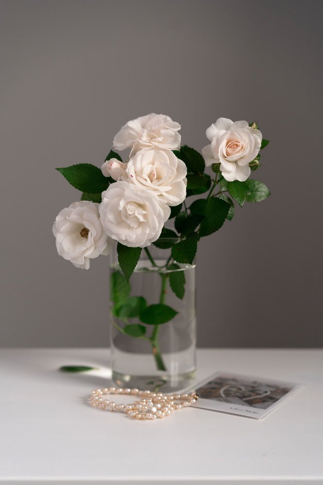 Photograph by Ekaterina Gumen