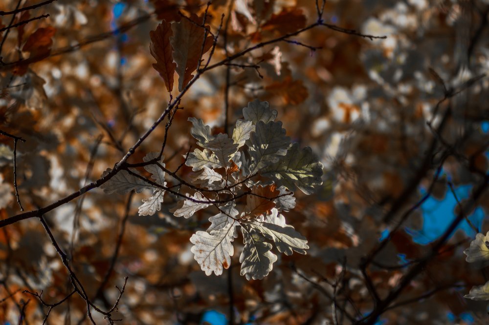 Фотография автора Игорь Игоревич