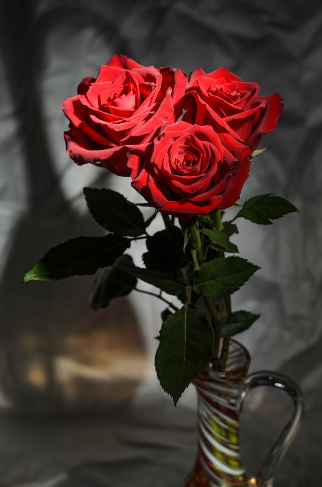 Photograph by Равиль Исмаилов