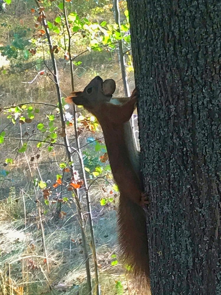 Фотография автора Евгения Илина