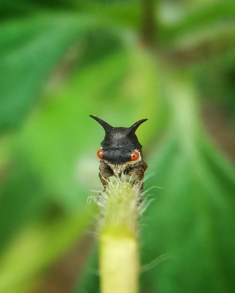 Drag you deep in to my world