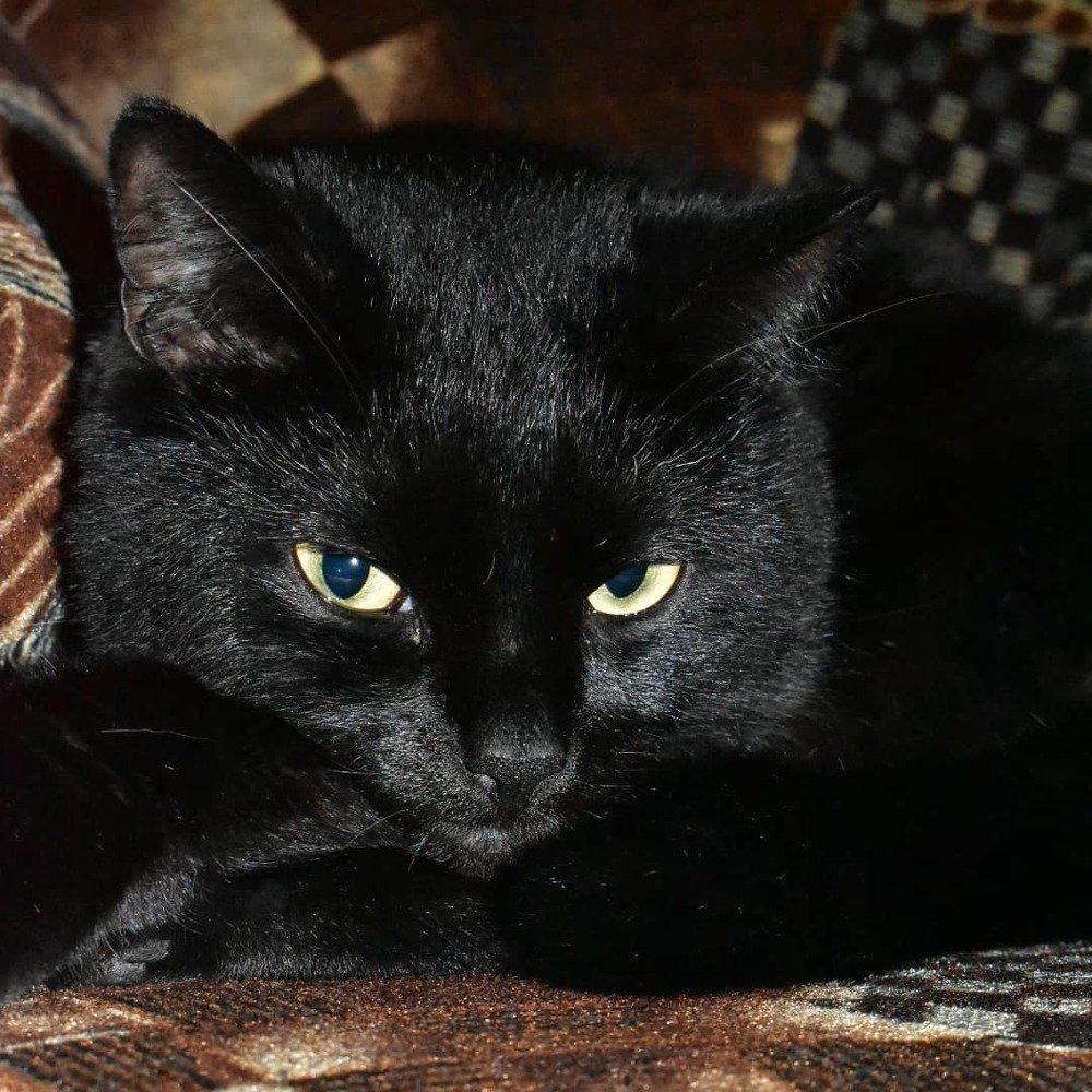 Photograph by Михаил Бородкин