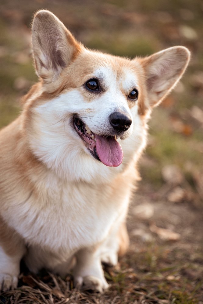 Photograph by Оксана Корчагина