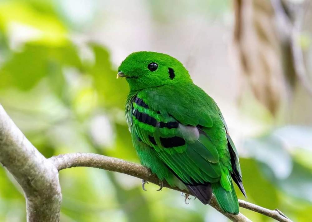 Photograph by Joo Aun Hneah