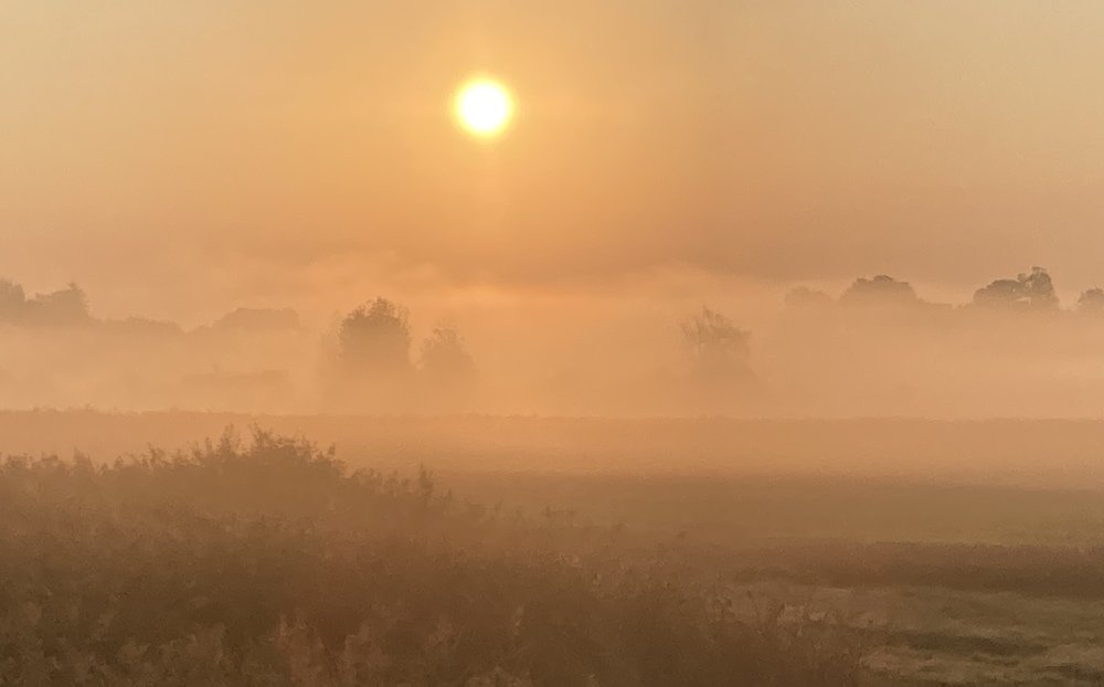 Пробуждение
