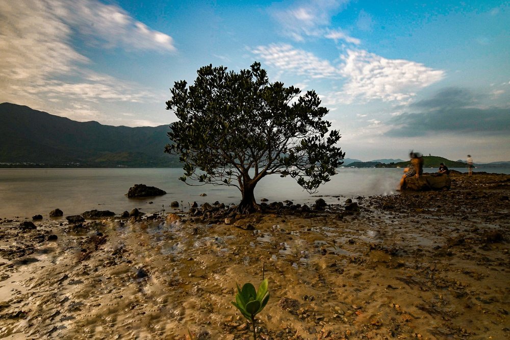 Photograph by Diana .