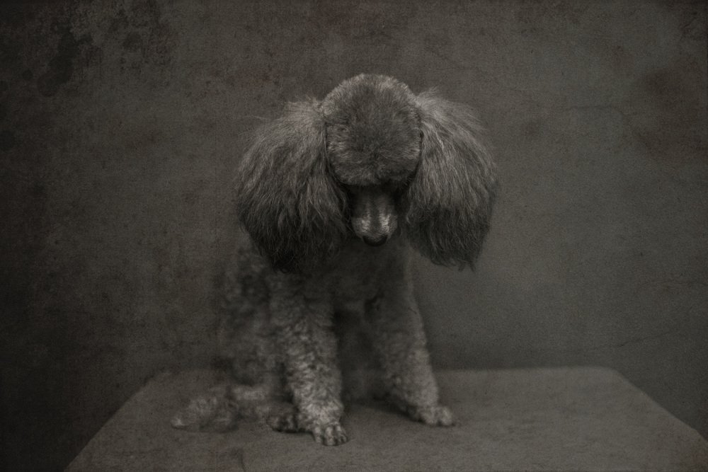 Photograph by Екатерина Дьячкова