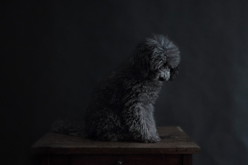 Photograph by Екатерина Дьячкова