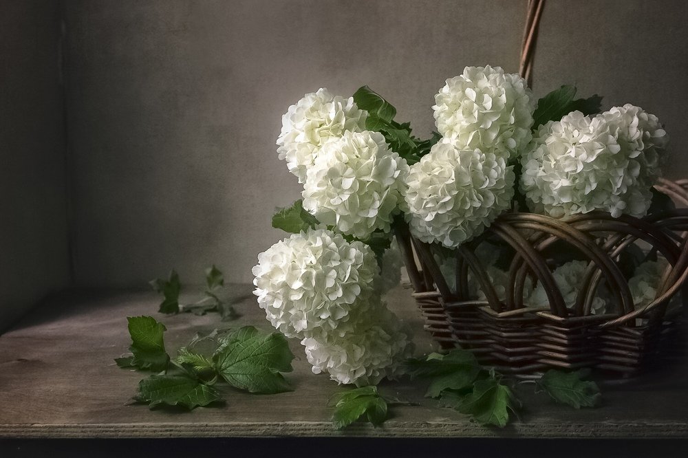 Photograph by Инна Грицик