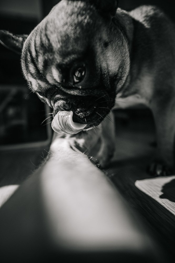 Photograph by Andris Barbans