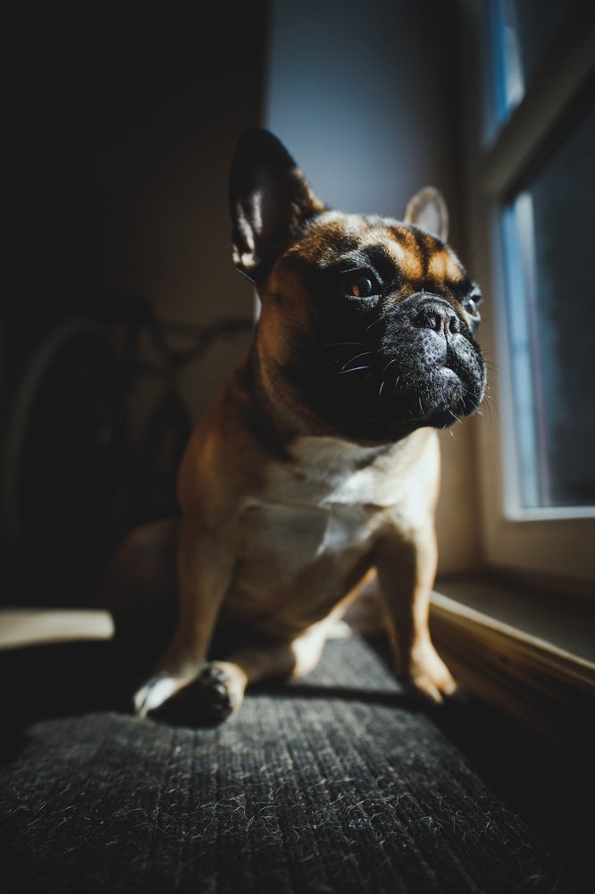 Photograph by Andris Barbans