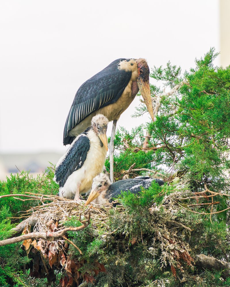 Photograph by Yashwanth Pavanan