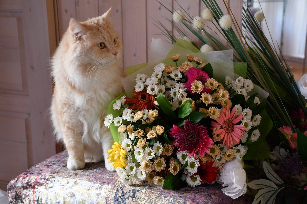 Photograph by Алина Голубева