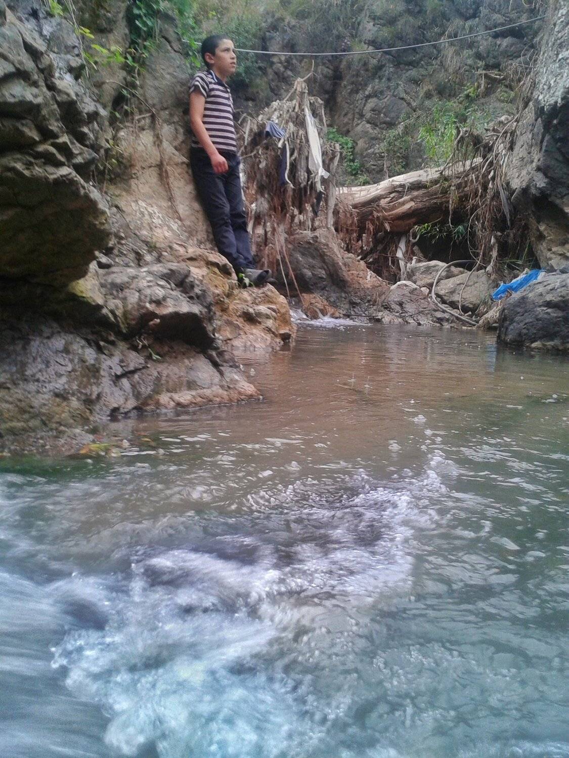 Photo #4984552