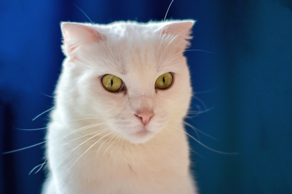 Photograph by Александр Лопатин