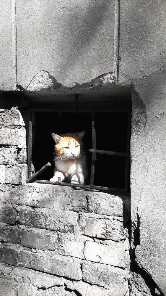 Photograph by Александр Лопатин