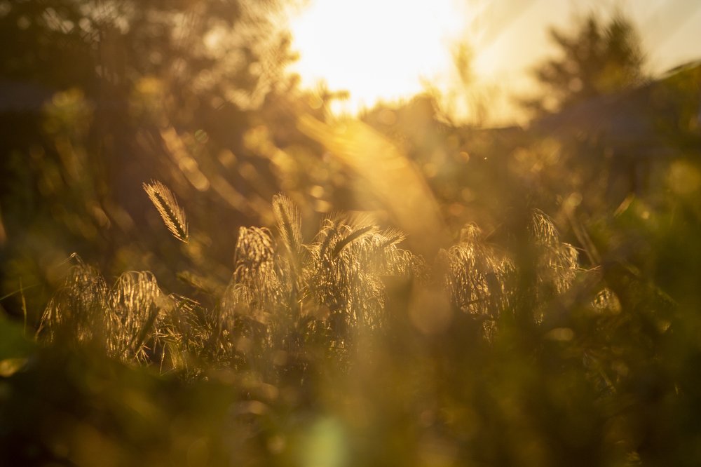 Photograph by Артем Попов