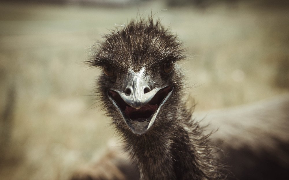 Photograph by Белоусов Тёма