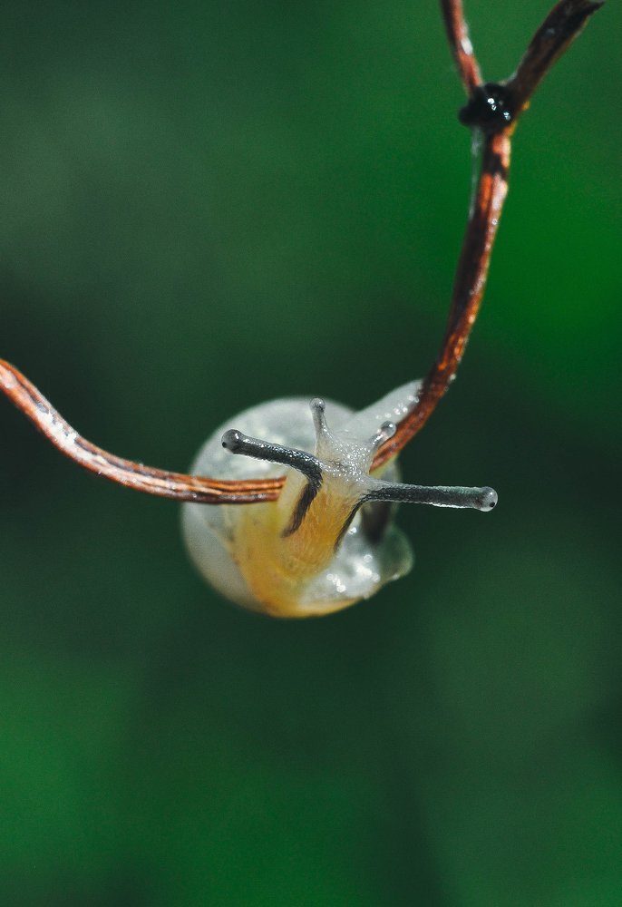 Photograph by Олеся zme