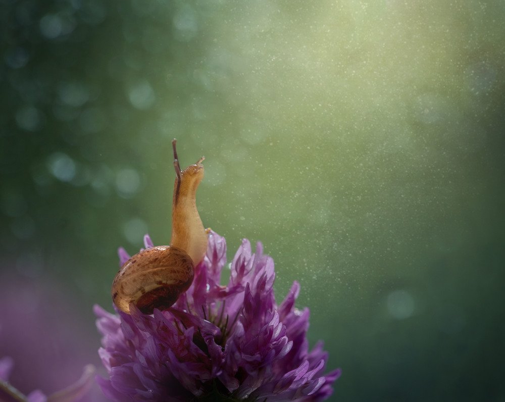 Photograph by Елена Иванова