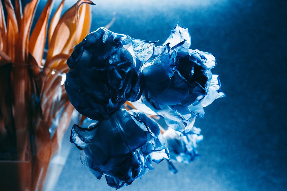 Photograph by Сергей Бойко