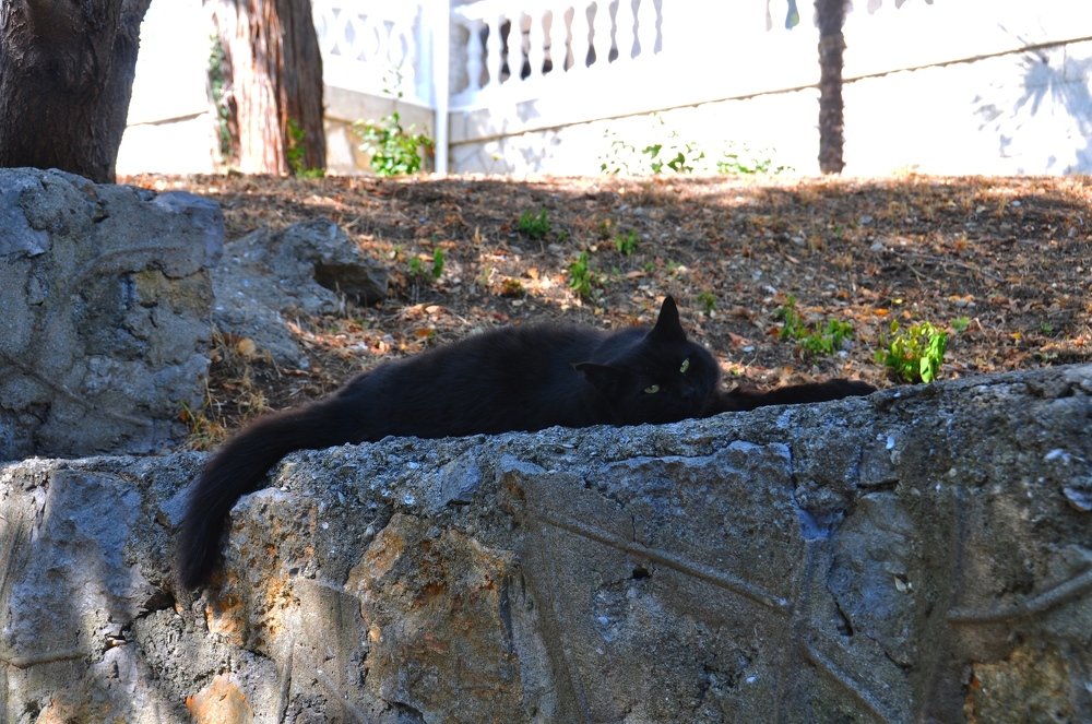 Photograph by Евгений Захаров