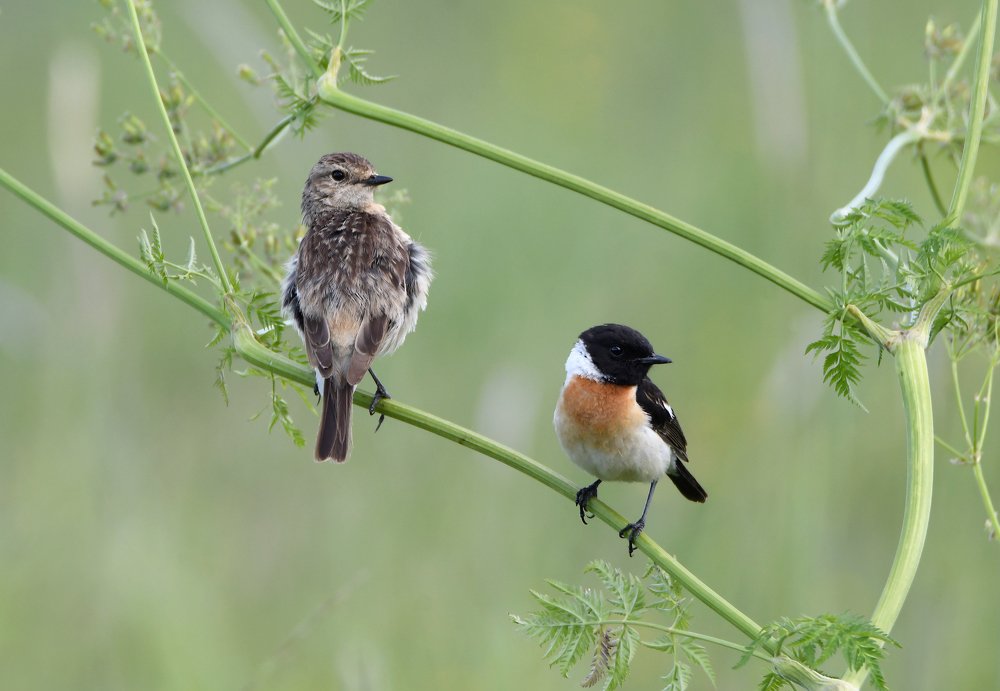Photograph by Татьяна Спицына