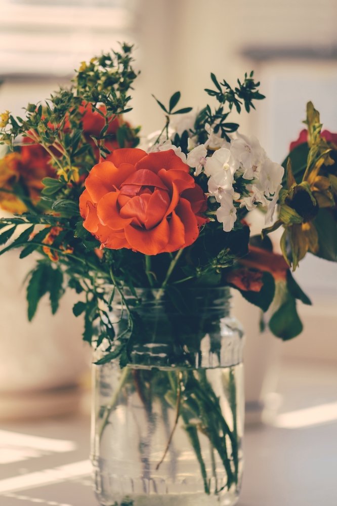 Photograph by Nataliya Sharifova