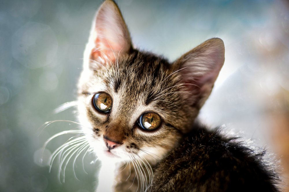 Photograph by Анастасия Донская