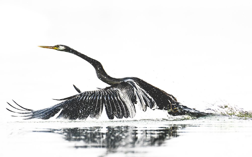 Photograph by Dhaval Shah