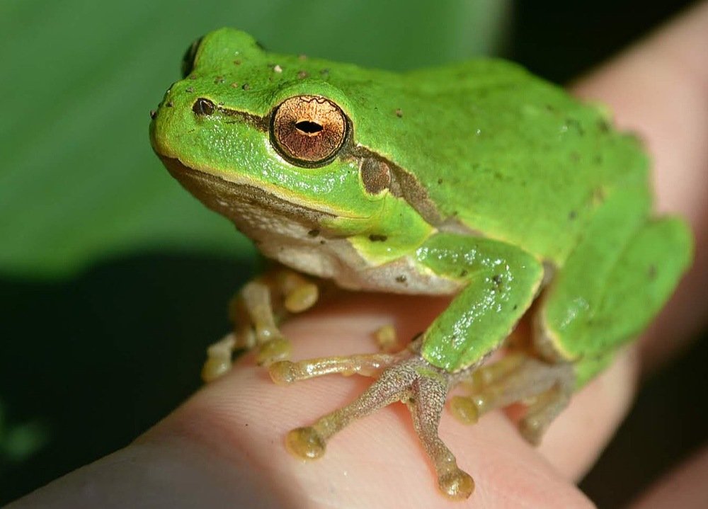 Photograph by Мариам Захарян