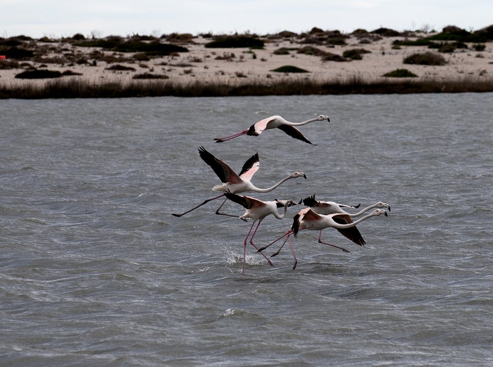 Photograph by Geo Lib