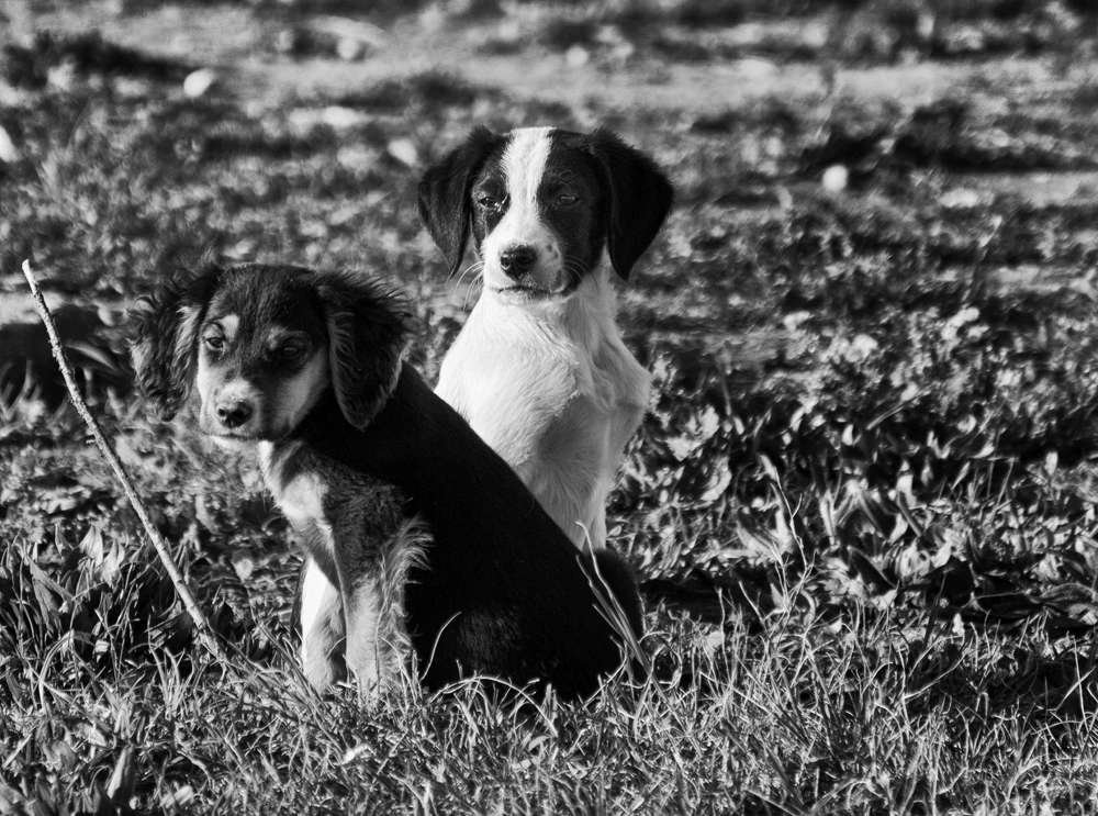 Photograph by Geo Lib