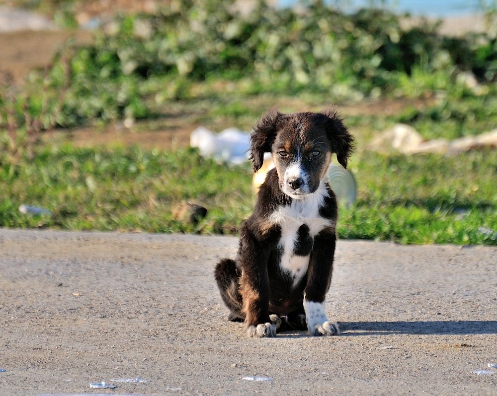 Photograph by Geo Lib