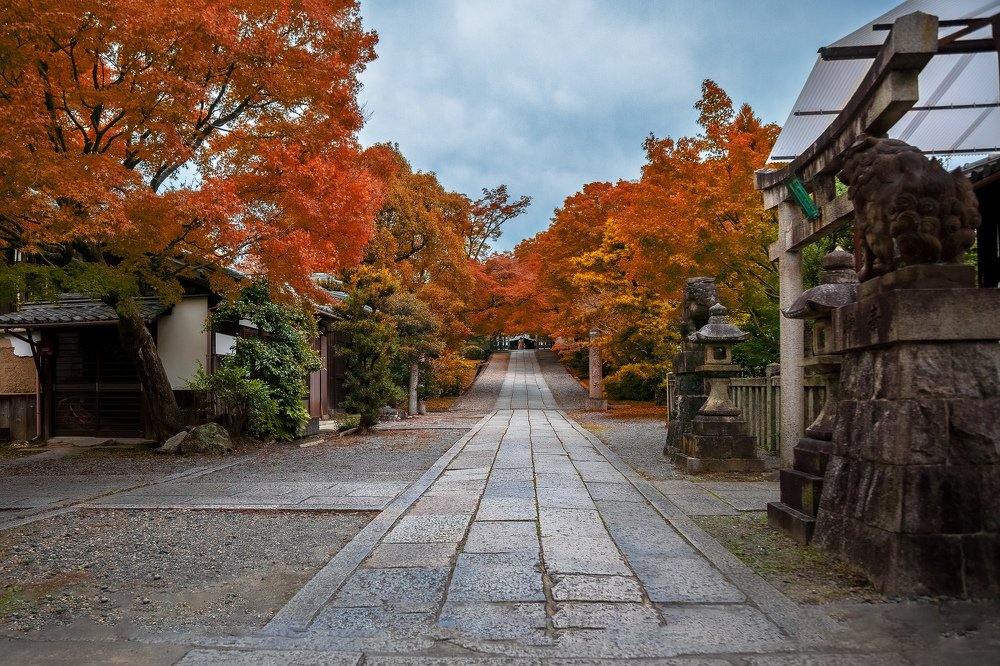 Photograph by Александр Игнатьев