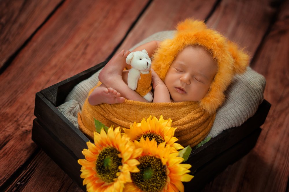 Сон маленького львенка