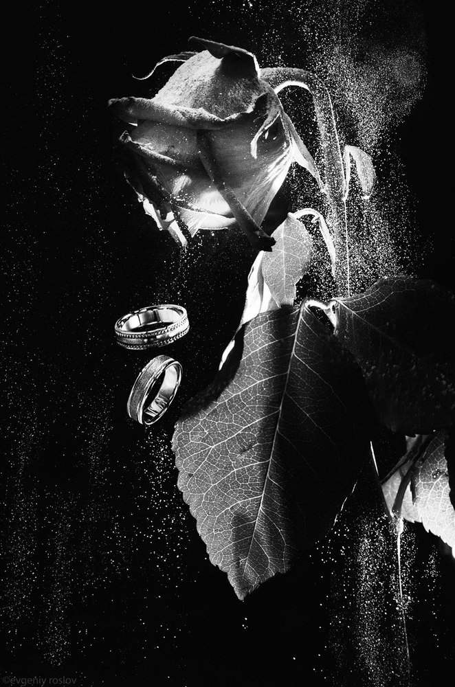 Photograph by Евгений Рослов