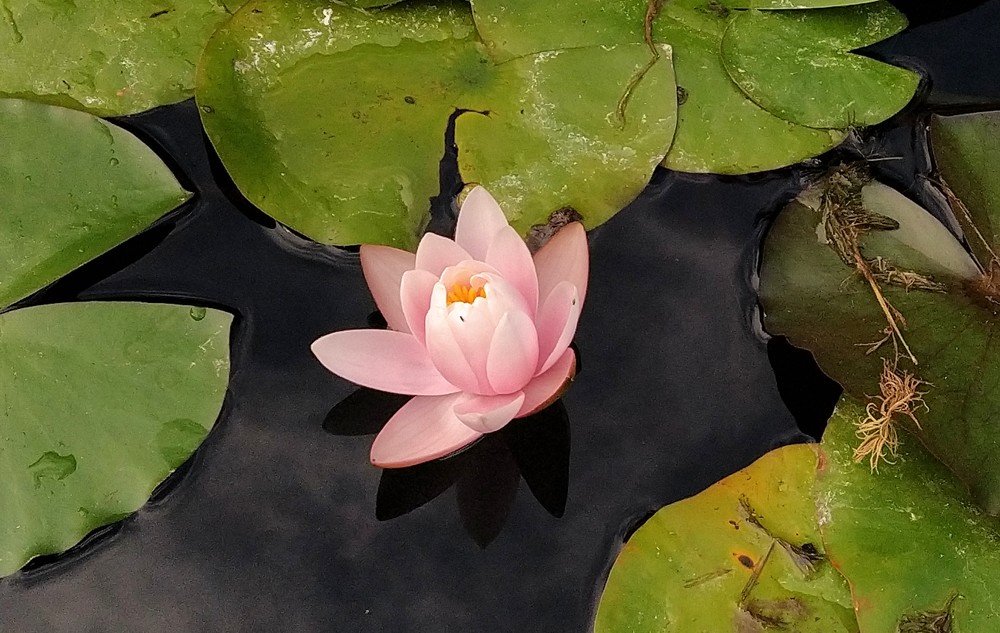 Photograph by Goga Mamulashvil