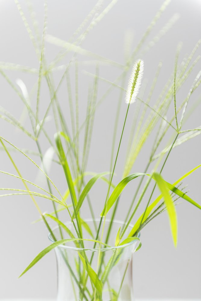 Photograph by Murat Sahin