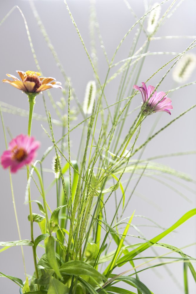 Photograph by Murat Sahin