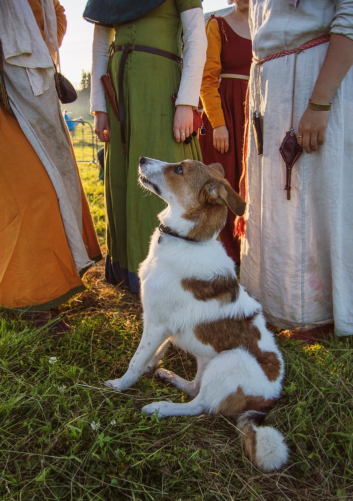 Photograph by Маргарита Гасец