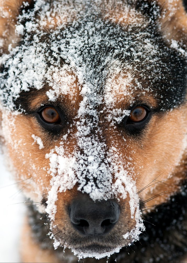 Photograph by Владимир Краснов