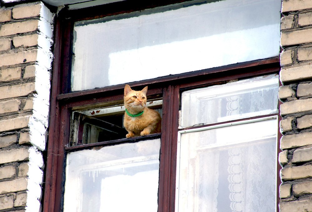 Photograph by Михаил Обертаев