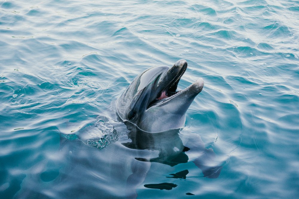 Photograph by Анна Молько